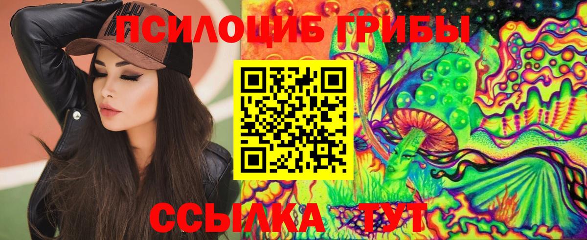 Северобайкальск  цена   Псилоцибиновые грибы MAGIC MUSHROOMS  Вход с VPN  Псилоцибиновые грибы Cubensis 