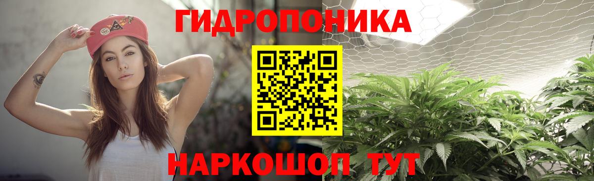 Конопля сатива  МАРИХУАНА планчик  Северобайкальск  Шишки марихуана тримм  Вход с VPN 